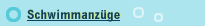 Schwimmanzüge